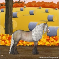 Horse Color:Liver Red Dun Mushroom Rabicano 