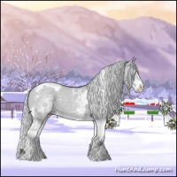 Horse Color:White Spotted Silver Smoky Grullo Chinchilla Tobiano