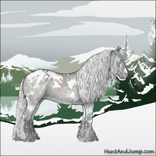 Horse Color:Silver Grullo Chinchilla Tobiano Appaloosa 