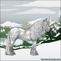 Horse Color:Silver Grullo Chinchilla Tobiano Appaloosa 