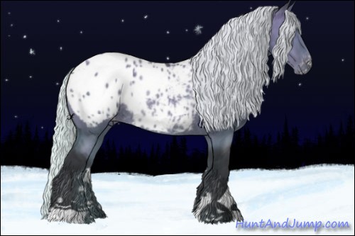 Horse Color:Silver Grullo Chinchilla Appaloosa Rabicano 