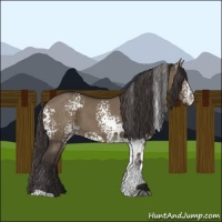 Horse Color:White Spotted Smoky Grullo 