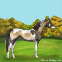 Horse Color:Smoky Blue Onyx Tobiano 