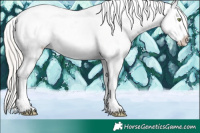 Horse Color:White Spotted Silver Brown Pearl Appaloosa 