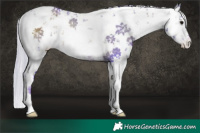 Horse Color:Platinum Watercolor White Spotted Silver Blue Onyx Sabino Snowflake Varnish 