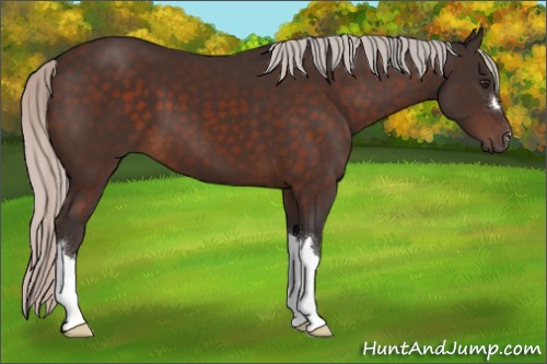 Horse Color:Silver Brown 