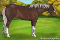 Horse Color:Silver Brown 