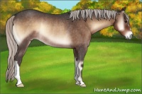 Horse Color:Silver Brown Roan Onyx Rabicano