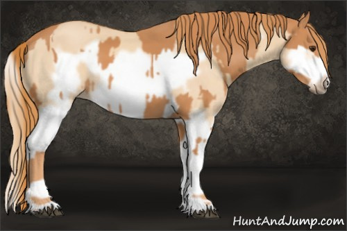 Horse Color:Chestnut Splash Frame and Red Dun Splash Frame