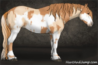 Horse Color:Chestnut Splash Frame  and Red Dun Splash Frame 