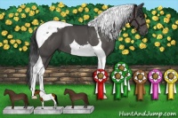 Horse Color:Black Tobiano 