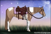 Horse Color:Black Pearl Tobiano 