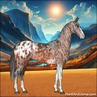 Horse Color:Bay Splash Tobiano Blanket and Bay Splash Tobiano Blanket