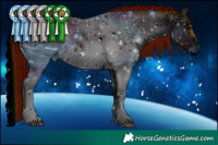 Horse Color:ERROR: UNKNOWN ANOMALY