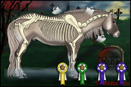 Horse Color:Silver Grullo Onyx Sabino 