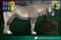 Horse Color:Silver Grullo Onyx Sabino 