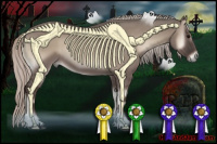 Horse Color:Silver Grullo Onyx Sabino 