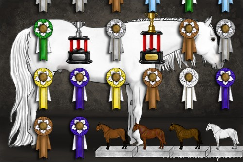 Horse Color:Gray Brown Tobiano Rabicano 