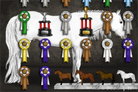 Horse Color:Gray Brown Tobiano Rabicano