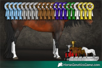Horse Color:Gray Brown Tobiano Rabicano 
