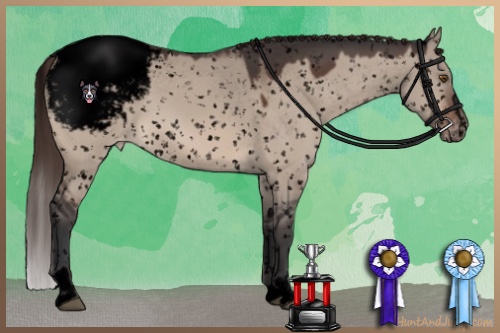 Horse Color:Void Bay Dun Mushroom Sabino Snowcap