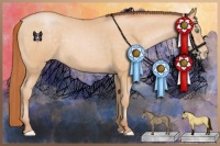 Horse Color:Buckskin Pearl 