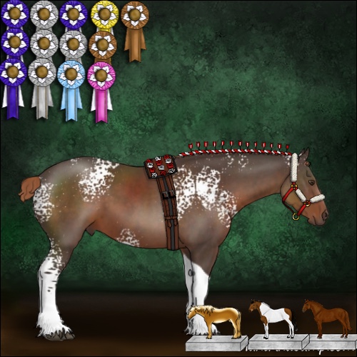 Horse Color:White Spotted Liver Chestnut Tobiano Rabicano