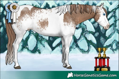 Horse Color:White Spotted Liver Red Dun Splash Tobiano 