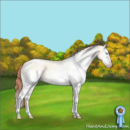 Horse Color:White Spotted Sable Champagne Pearl Dun Sabino Splash Rabicano 