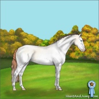 Horse Color:White Spotted Sable Champagne Pearl Dun Sabino Splash Rabicano 
