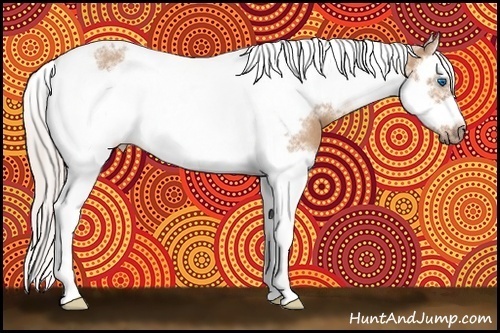 Horse Color:Silver Bay Dun Splash Tobiano Frame Rabicano 