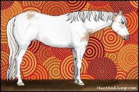 Horse Color:Silver Bay Dun Splash Tobiano Frame Rabicano 