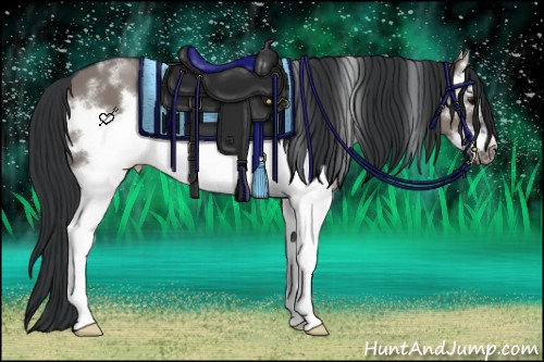 Horse Color:White Spotted Grullo Frame 