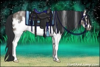 Horse Color:White Spotted Grullo Frame 