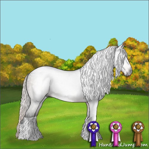 Horse Color:Gray Silver Brown