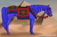 Horse Color:Watercolor Smoky Black