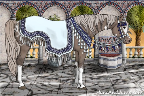 Horse Color:White Spotted Silver Grullo Appaloosa 