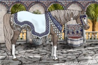 Horse Color:White Spotted Silver Grullo Appaloosa 