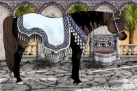 Horse Color:Void Liver Chestnut Tobiano Rabicano