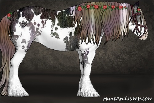 Horse Color:Nacre White Spotted Liver Chestnut Ice Sabino Splash Rabicano