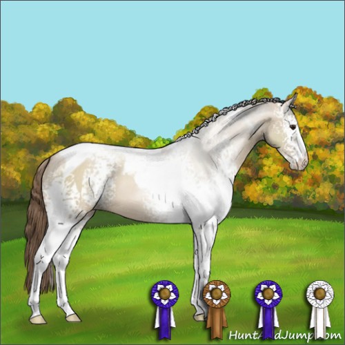 Horse Color:White Spotted Grullo Pearl Tobiano
