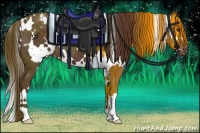 Horse Color:White Spotted Liver Chestnut Varnish