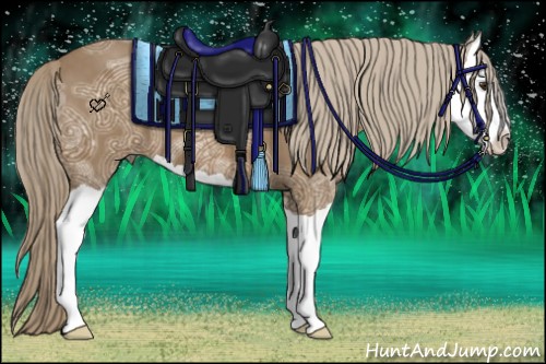 Horse Color:Chocolate Palomino Ice Splash 