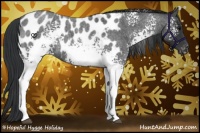 Horse Color:White Spotted Blue Roan Blanket