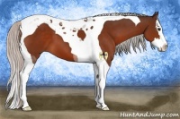 Horse Color:Silver Bay Splash Tobiano