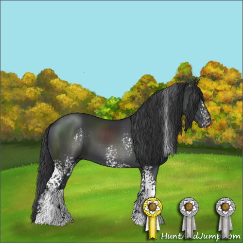 Horse Color:White Spotted Black Sabino