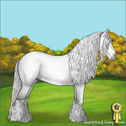 Horse Color:Gray Silver Black 