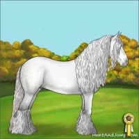 Horse Color:Gray Silver Black 