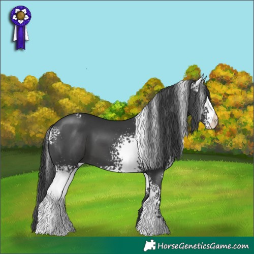 Horse Color:White Spotted Black