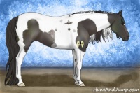 Horse Color:Smoky Black Tobiano 